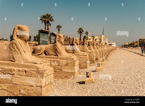 Sphinx Avenue Of The Luxor Temple On The Banks Of The Nile Egypt Stock