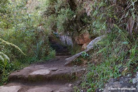 Huayna Picchu: How to climbing the mountain behind Machu Picchu