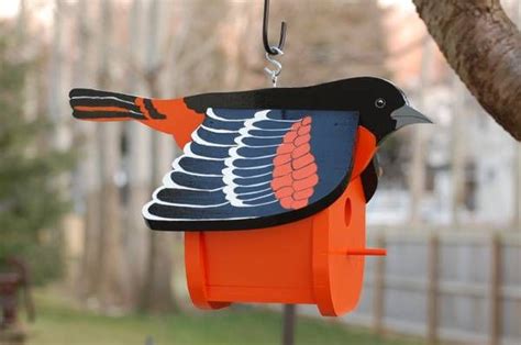 Baltimore Oriole bird house | Birdhouses bird feeders, Bird houses diy ...