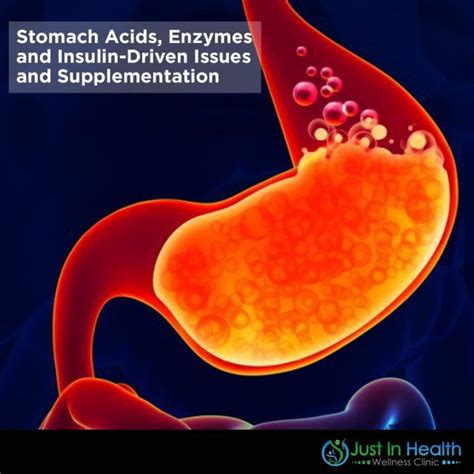 Stomach Acids, Enzymes and Insulin-Driven Issues and Supplementation (1 ...