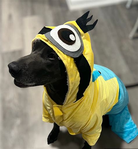 Dog Minion Costume