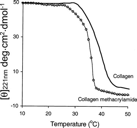 Thermal Denaturation Profiles Of Collagen S And Collagen