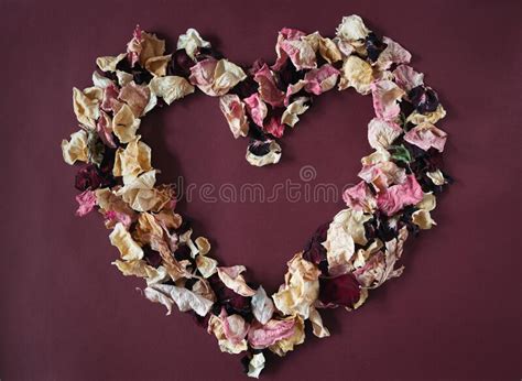 A Heart Made Of Rose Petals Stock Photo Image Of Decoration Heart