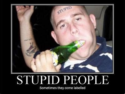 Stupid People Do Stupid Things By Francy And Friends Movies