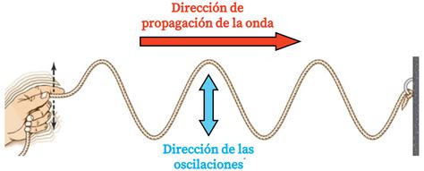 Onda Transversal Y Onda Longitudinal