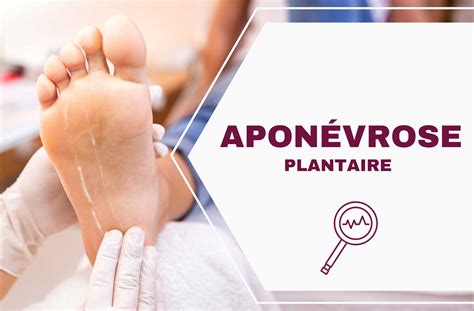 D Couvrez L Approche Int Grale De L Apon Vrose Plantaire Techniques