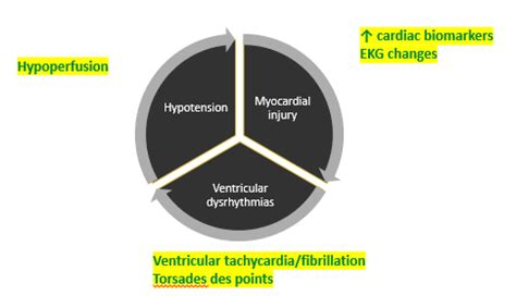 Cardiac Toxins Pathophys Of The Heart Flashcards Quizlet