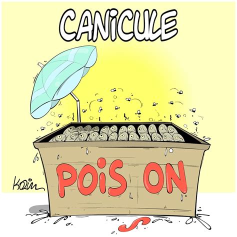 Citation Humour Canicule