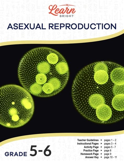 Asexual Reproduction Free Pdf Download Learn Bright