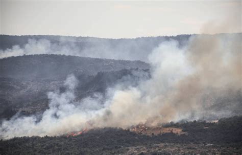 Déforestation Plus de 40 millions dhectares de forêts perdus entre