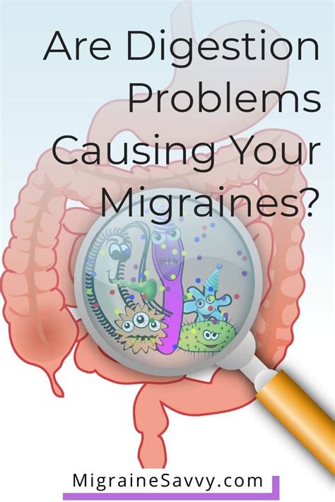 Digestion Problems And Migraine Is Your Gut Behind Your Headaches