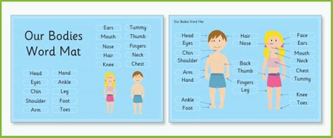 ‘my Body Word Mat Ourselves All About Me Teaching Resources Free