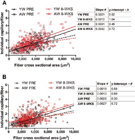 Linear Regression Between Individual Fiber Cross Sectional Area Fcsa Download Scientific