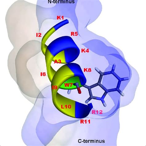 In Silico Three Dimensional 3d Molecular Modeling Obtained By