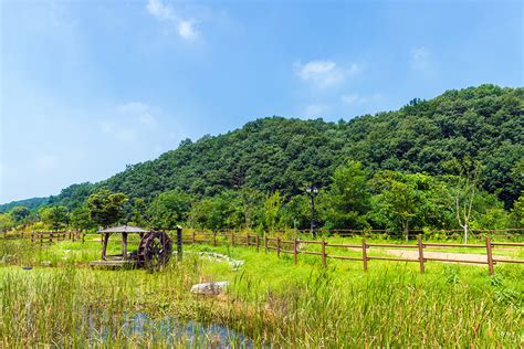 청주시 미래지농촌테마공원 오토캠핑장 레저스포츠 정보와 주변 관광 명소 및 근처 맛집 여행 정보