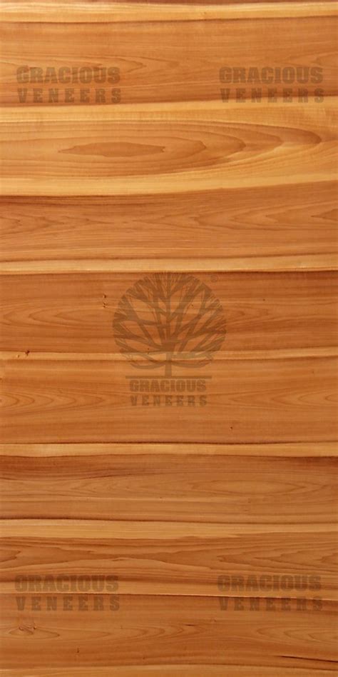 Gracious Veneers Brown Smoked Tulip Crown Veneer Sheet Thickness 4 Mm