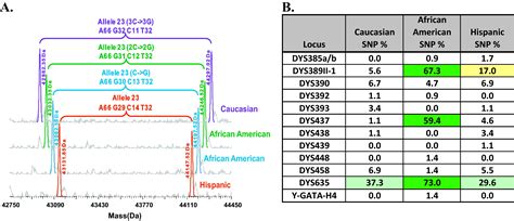 Human Y STR Profiling Using Fully Automated Electrospray Ionization