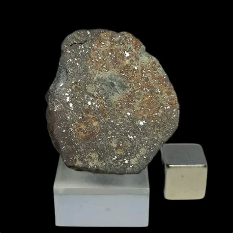 Famous Meteorite Nwa 869 Chondrite L3 6 Pretty Chondrules Catawiki