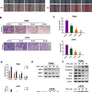 Pterostilbene Inhibits The Migration And Invasion Of Glioma Cells A