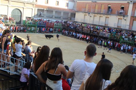 Nules Insta A La Generalitat Valenciana A Ayudar Al Sector Ganadero