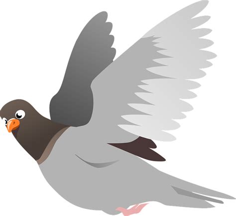 Pigeon Clipart Carrier Pigeon Pigeon Carrier Pigeon Transparent Free