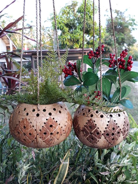 Hanging Air Plants Hanging Planters Garden Crafts Garden Decor