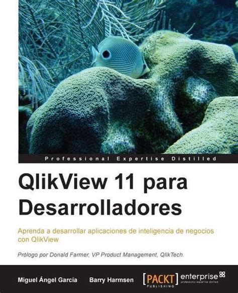 Qlikview 11 Para Desarrolladores Ebook Miguel García 9781782174240 Boeken Bol