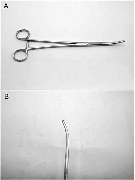 Photographs Of The Long Curved Haemostatic Forceps A The Length Of Download Scientific