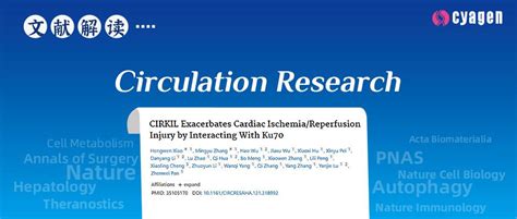 Circulation Research丨哈尔滨医科大学潘振伟团队发现治疗心脏缺血再灌注损伤的新靶 知乎