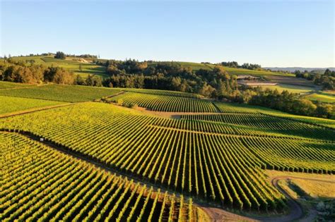 Aerial Photography And Video For Wineries Vinbound Marketing