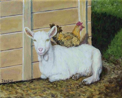 Saanen Goat And Chicken Relaxing Painting By Dottie Dracos Pixels