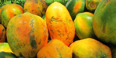 Papaya Seeds For Constipation 5 Reasons Why They Work Gut Advisor