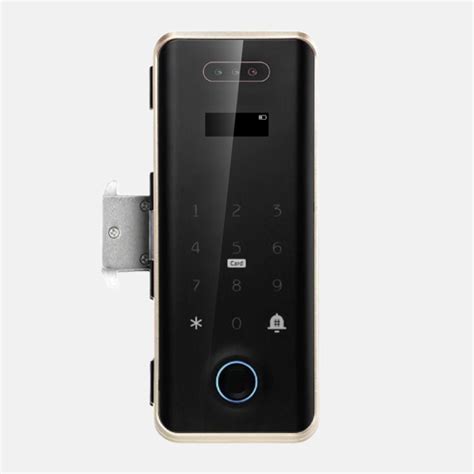 Cheapest Face Recognition Gate Digital Lock - My Digital Lock
