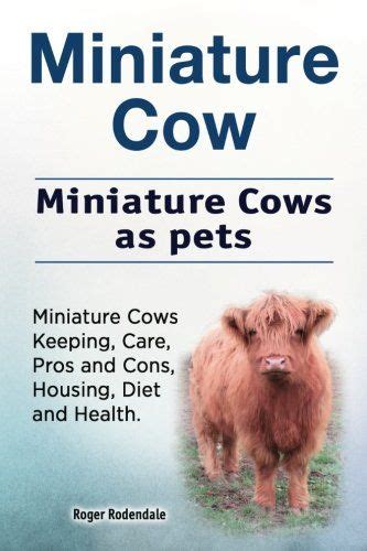 Learn All About Miniature Cattle Breeds For Your Small Homesteading