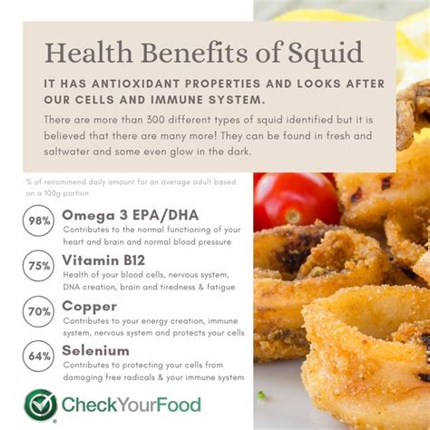 The health benefits of squid | Seafood benefits, Holistic nutrition ...