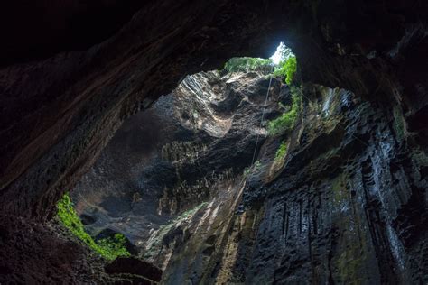 Gomantong Caves, Sabah