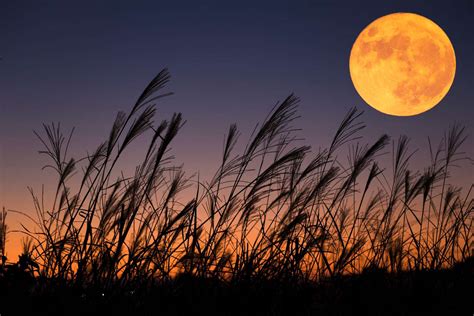 How and When to See the Harvest Moon This Weekend