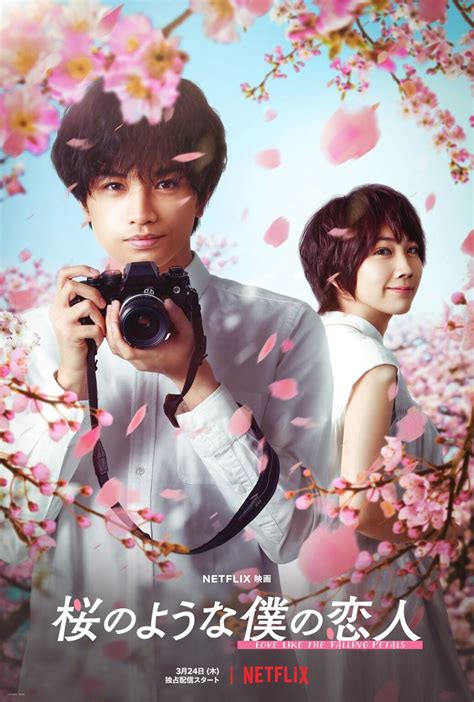 「桜のような僕の恋人」小説映画化 恋愛ドラマ 国内映画 Netflix独占配信 あらすじ・感想・レビュー Filmic Synopsis And Reviews シノレビ