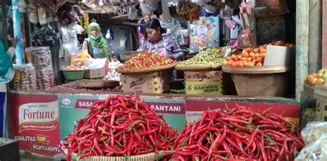 Masuk Musim Hujan Harga Cabai Rawit Anjlok