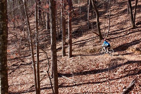 Five2Ride: Best Mountain Bike Trails in Sumter National Forest ...