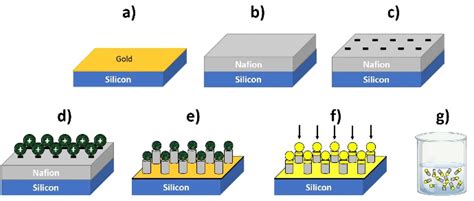 Collective Motion Of Nafion Based Micromotors In Water Faraday Discussions Rsc Publishing