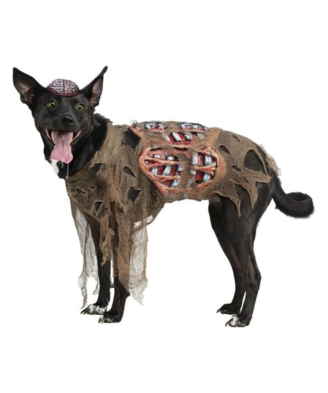 Zombie Pet Costume