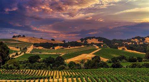 Napa Valley Sunset Photograph By Mountain Dreams Pixels