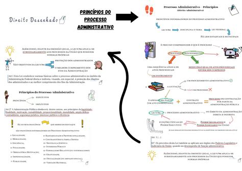 Princípios do Processo Administrativo Direito Administrativo