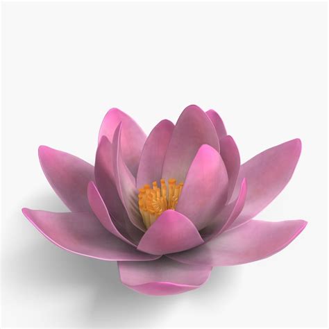 Lotus 3d Model Download Free 3d Models