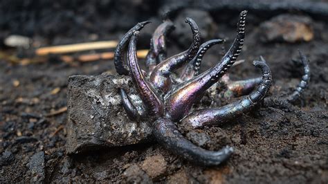 panama meteorite grows alien  tentacles space rock grows