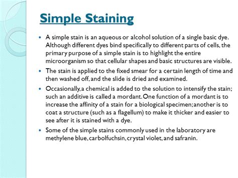 Staining In Microbiology Meaning Types Techniques Video Off