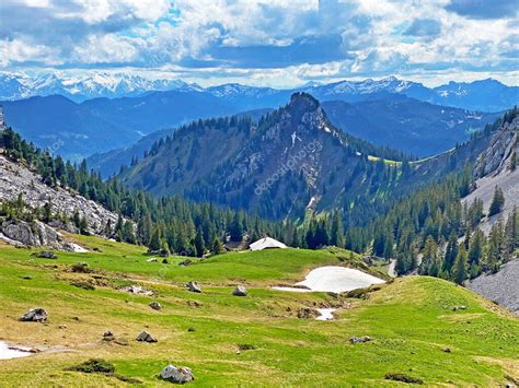 Pastos Alpinos Y Pastizales En Las Laderas Del Macizo Del Pilatus Y En