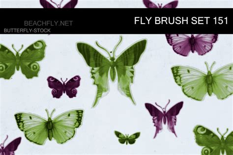 175 Free Photoshop Butterfly Brushes GraphicsBeam