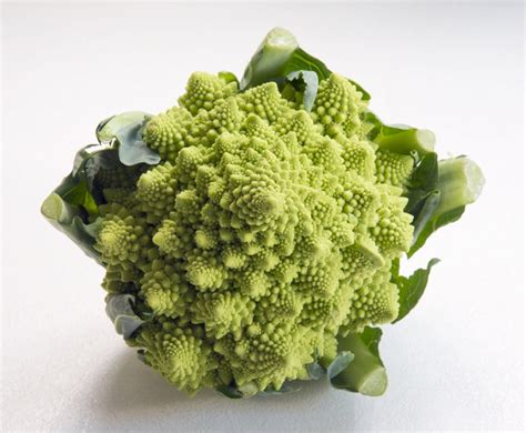 Mathematical Objects Romanesco Broccoli The Aperiodical